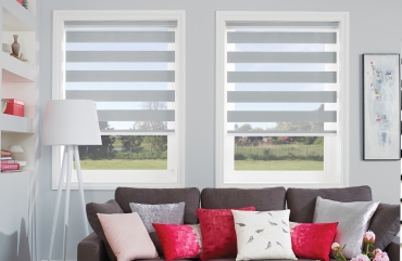 Vision Blinds